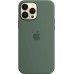 Чохол-накладка Apple Silicone Case with MagSafe для Apple iPhone 13 Pro Max Eucalyptus (MN6C3)